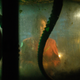 It’s humanity versus cephalopods in an eerie but soggy <i>Twilight Zone</i>